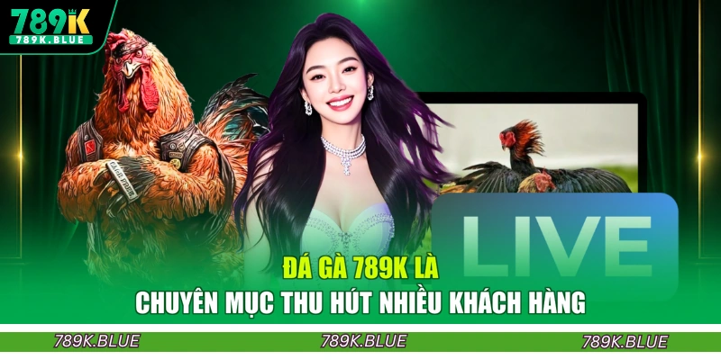 Đá gà 789K là chuyên mục thu hút nhiều khách hàng