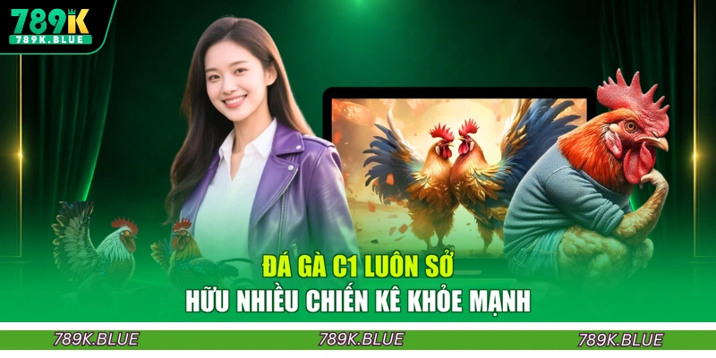 Đá gà C1 luôn sở hữu nhiều chiến kê khỏe mạnh