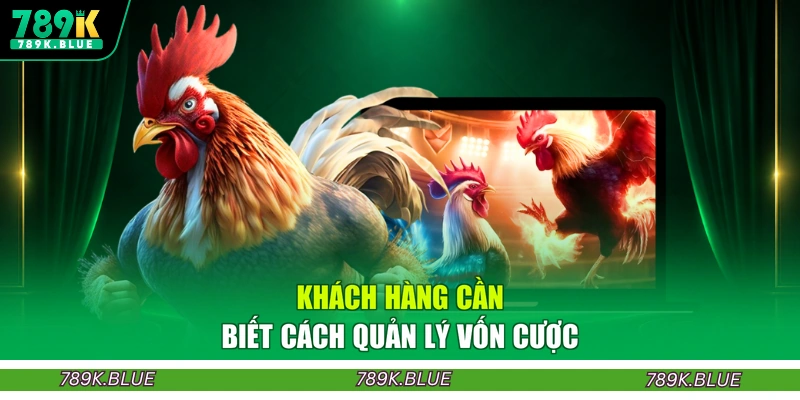 Khách hàng cần biết cách quản lý vốn cược