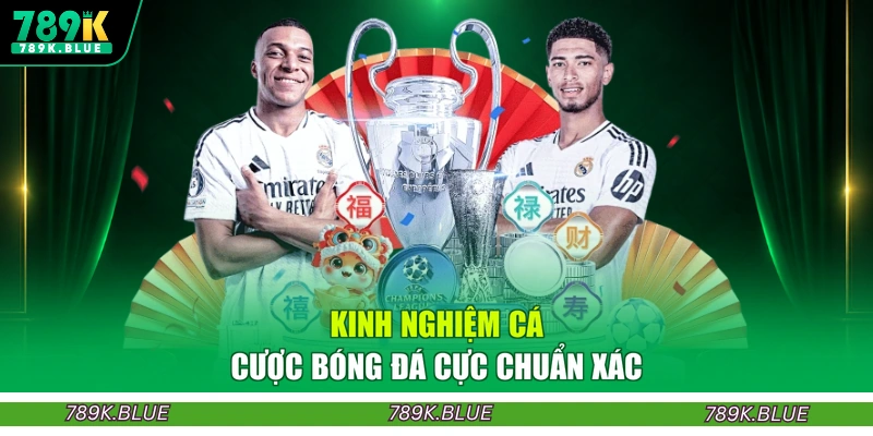 Kinh nghiệm cá cược bóng đá cực chuẩn xác