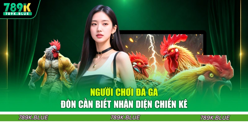 Người chơi đá gà đòn cần biết nhận diện chiến kê