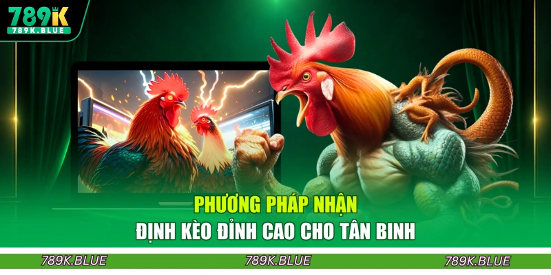 Phương pháp nhận định kèo đỉnh cao cho tân binh